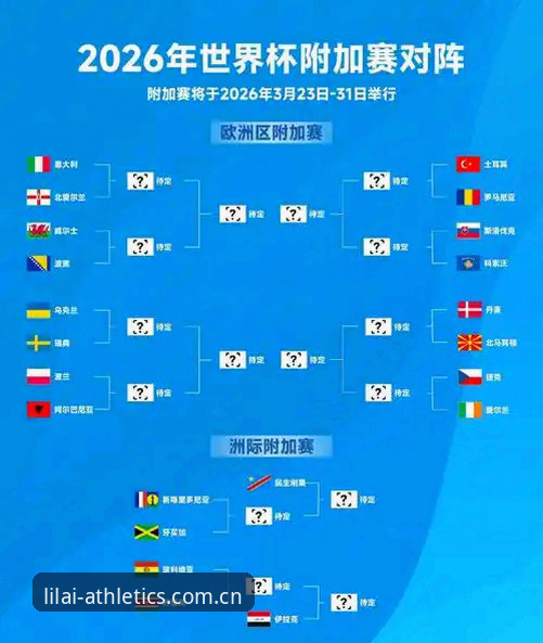 2026世界杯观赛体验深度评测：签证危机下的冷场与利来体育平台视角分析